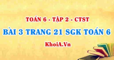 Bài 3 trang 20 SGK Toán 6 Tập 2 Chân trời sáng tạo